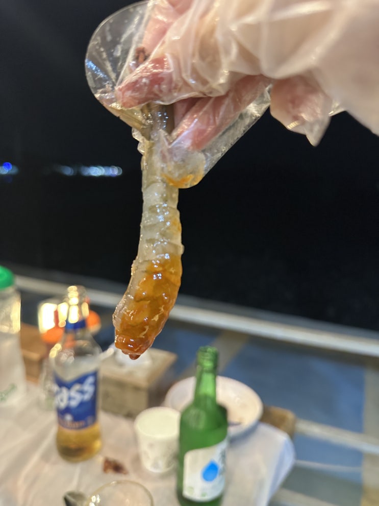  [충무공이순신횟집] 대부도 바다뷰 신선한 생새우 맛집