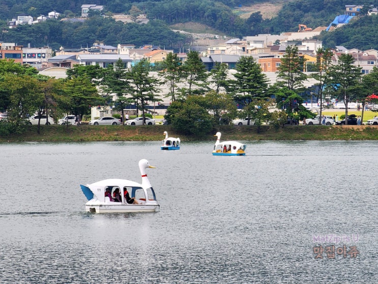  제천여행 삼한의초록길, 의림지, 제천비행장 꽃정원