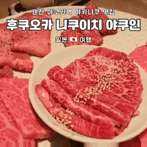 후쿠오카 텐진 야쿠인 맛집 야키니쿠 소고기 | 니쿠이치 야쿠인 후기(feat. 예약 방법, 메뉴, 고구마소주)