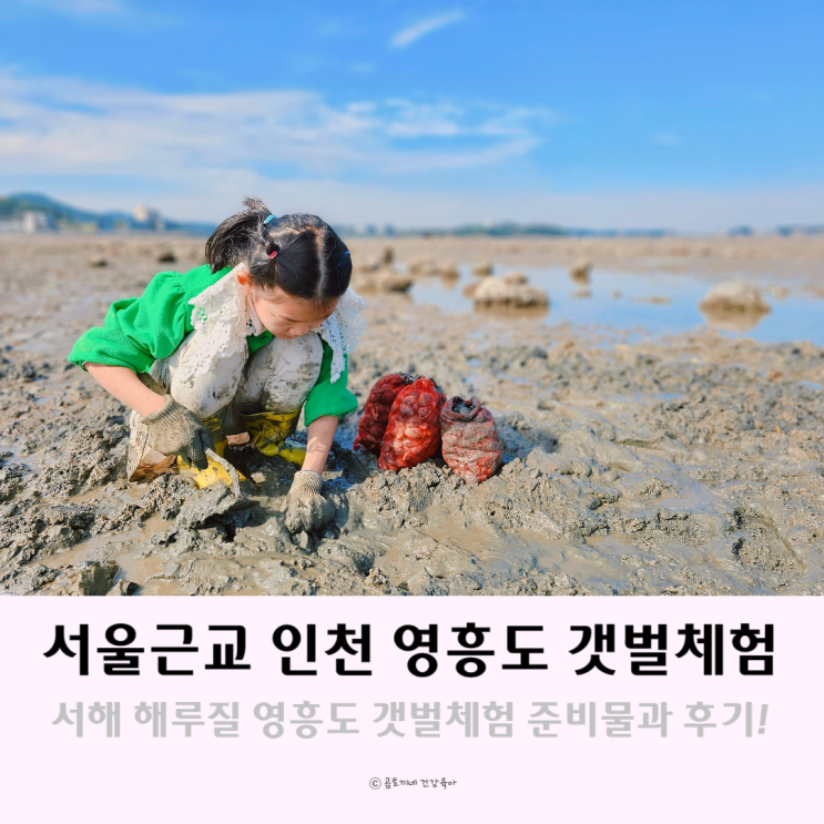 서울근교 서해 해루질 인천 영흥도 갯벌체험 준비물과 후기 서울근교 서해 해루질 인천 영흥도 갯벌체험 준비물과 후기
