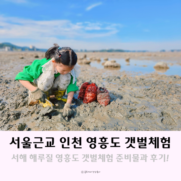 서울근교 서해 해루질 인천 영흥도 갯벌체험 준비물과 후기