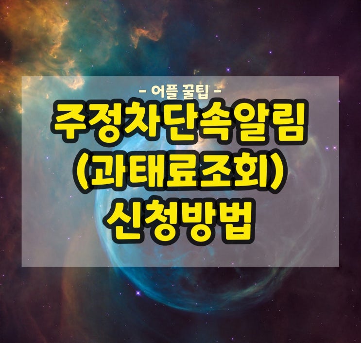  주정차단속알리미(feat. 과태료조회 방법)