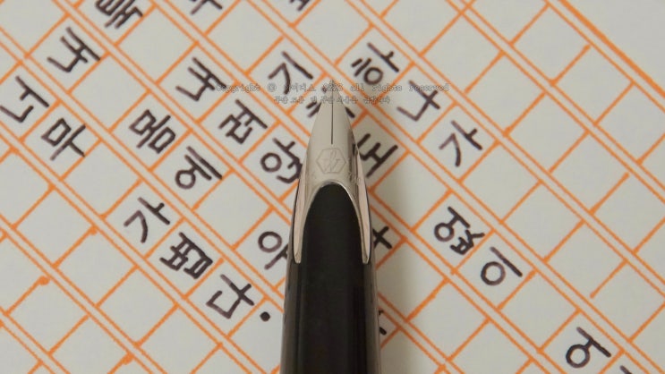  너무 가볍다 (워터맨 까렌 F닙 만년필로 필사하기)