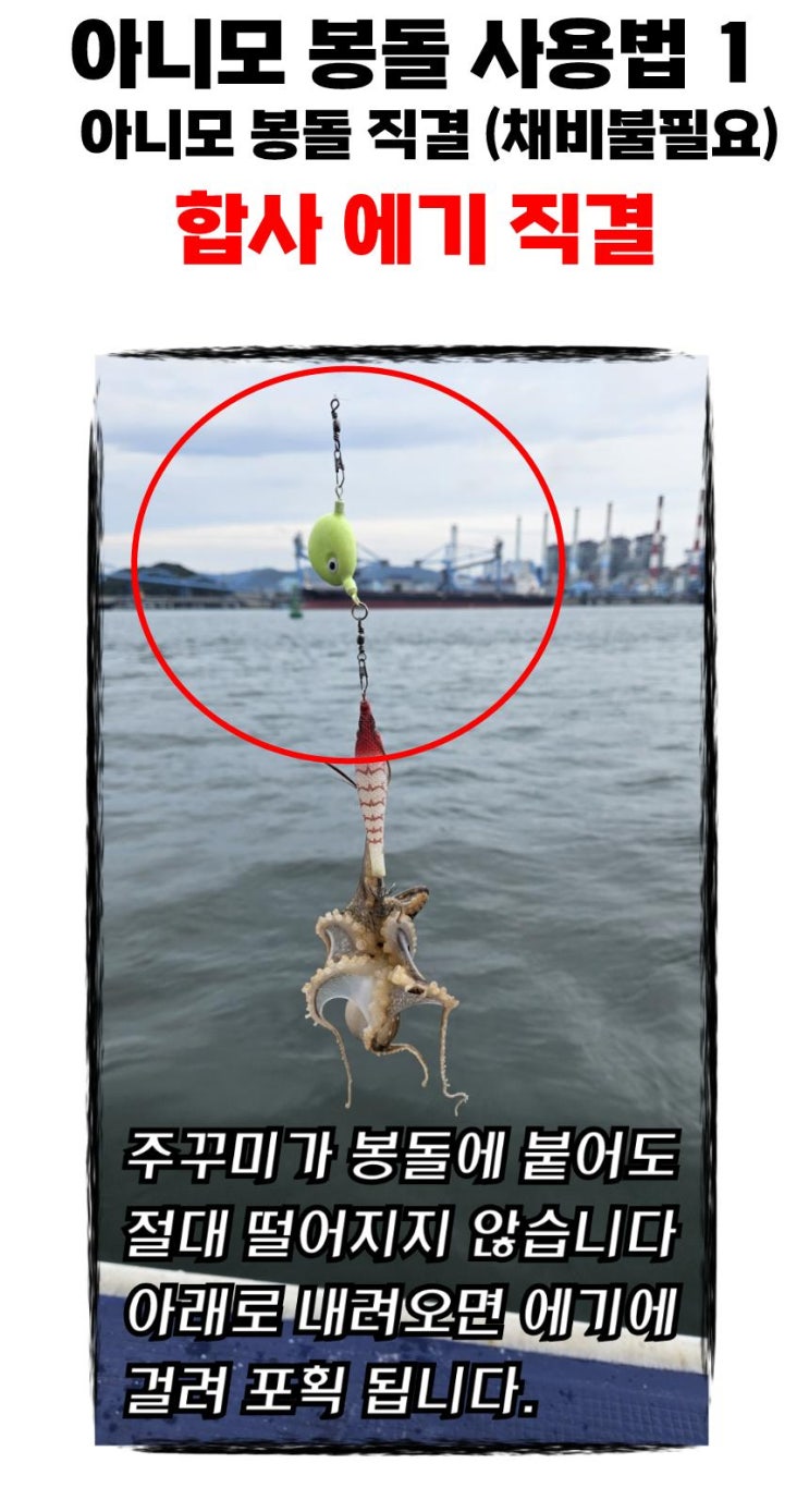 아니모 봉돌 갑오징어 직결.가지채비