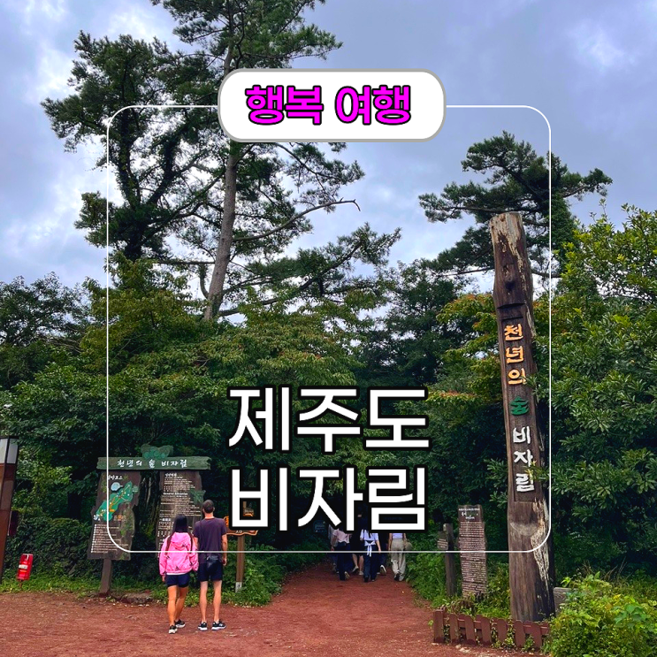 제주도 동쪽 여행 추천[비자림] 숲길 산책