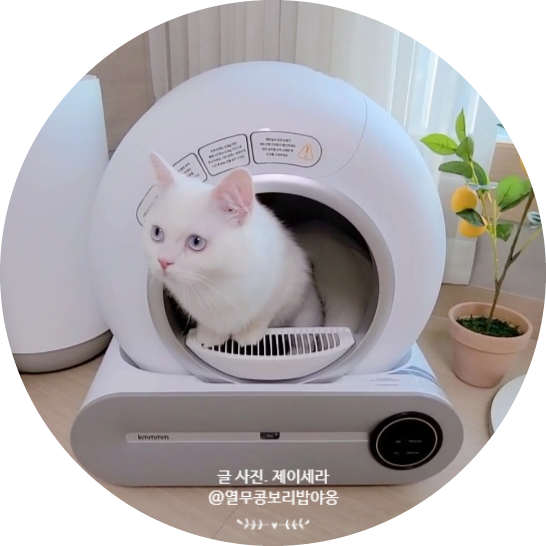 필수 고양이용품 Kmmmm 스마트 고양이 자동화장실 실제 사용기