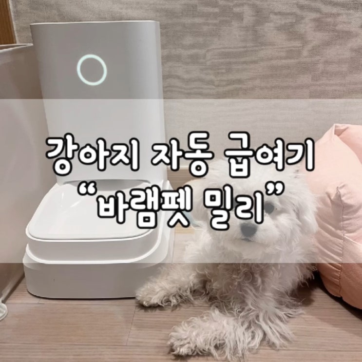  바램펫 / 자동 급식기 / 강아지 자동 급식기 / 스마트 자동 급식기 밀리 / 자동 급식기 추천 / 바램펫 추천 / 강아지 자동 급식기 추천 / 강아지 용품 / 강아지 용품 추천