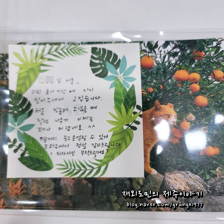 스테이 비갠오후 사진 2