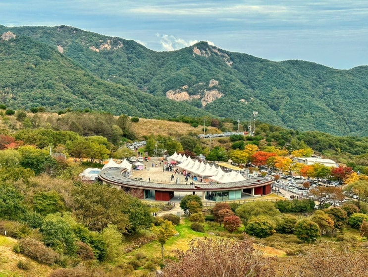  합천 황매산 맛집 억새축제 천막 식당 추천 철쭉영농조합법인