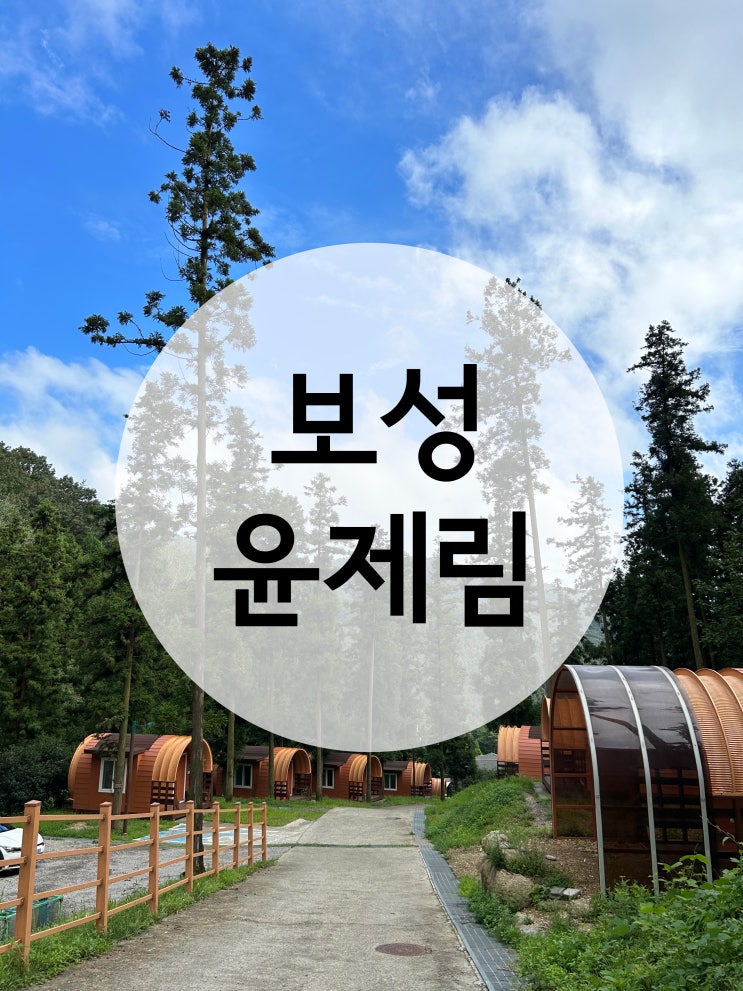 아이들과 캠핑 하기 좋은  전남 보성 윤제림(아치하우스 이용후기)