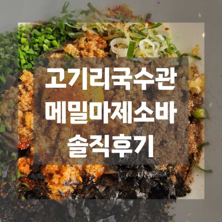 용인 고기리국수 맛보장 고기리국수관 마제소바&순메밀국수 솔직후기