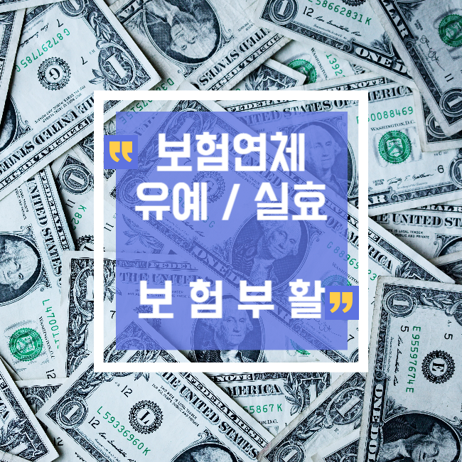 보험 연체로 유예나 실효 된 경우 부활