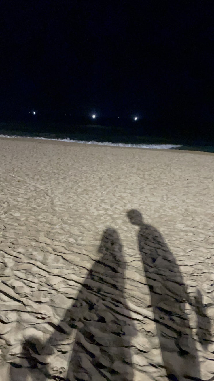  송정 해수욕장 야경 기록 파도 영상