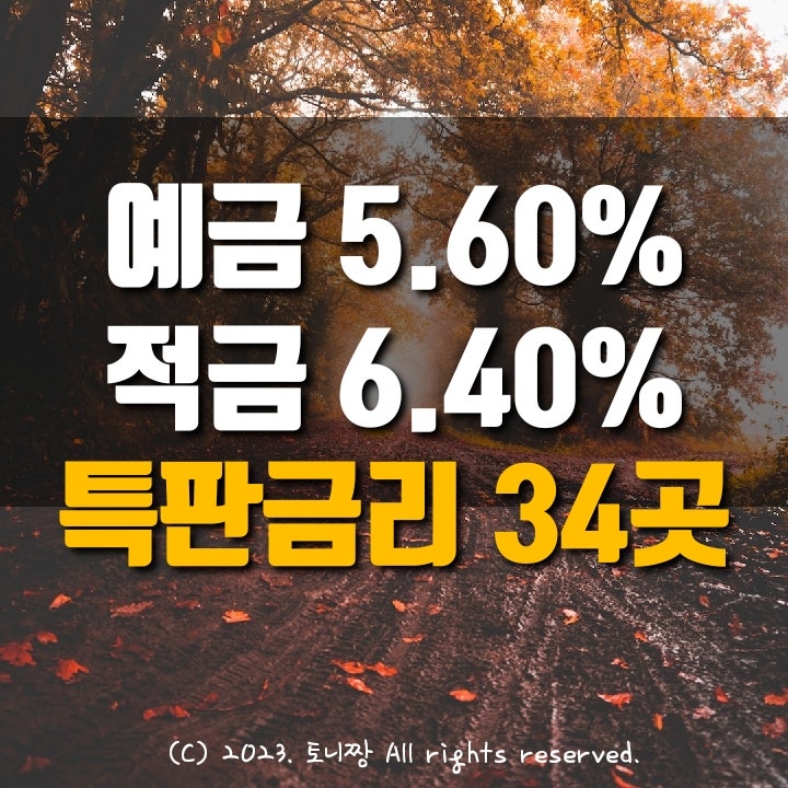 전국 Top 정기예금 5.60% 서울행당 성수 강북 은평 전주조촌 제주남원새마을금고, 적금특판 6.40% 인천송림 대전탄동 대구송현새마을금고 순서