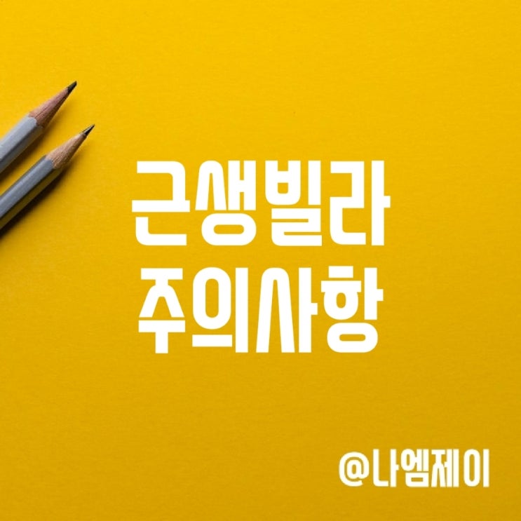 근생빌라 전세 매매시 주의 (이행강제금) 근생빌라 전세 매매시 주의 (이행강제금)