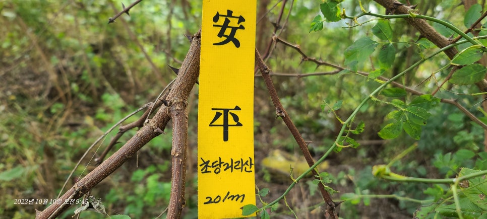 초당거리산 사진 5
