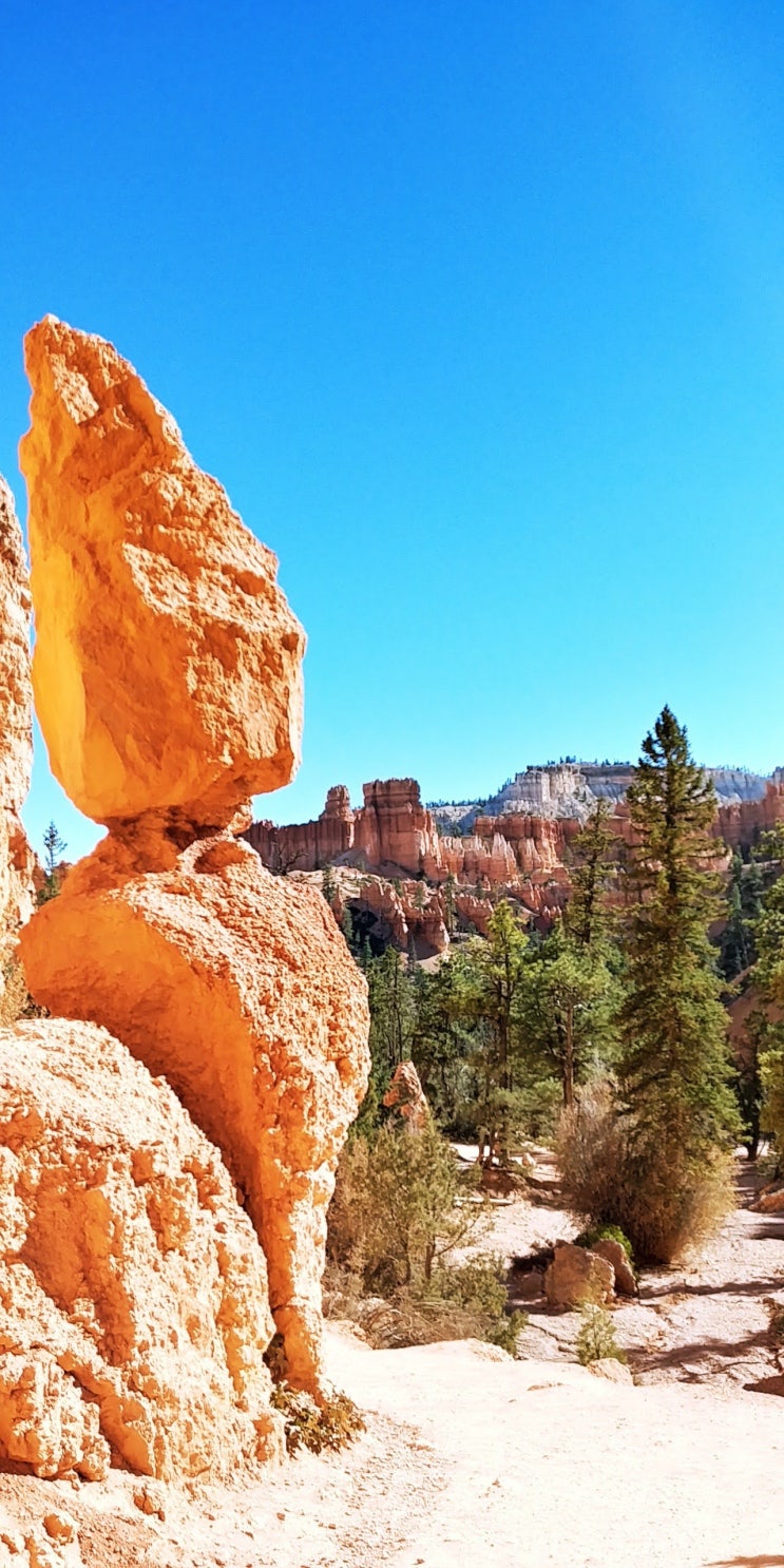  [Bryce Canyon] 이모랑 미서부 여행4, 가을의 브라이스 캐년