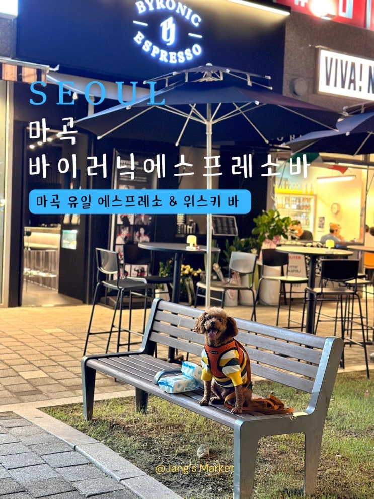  마곡 애견동반 카페 바이러닉 에스프레소바 : 분위기 좋은 하이볼 위스키바