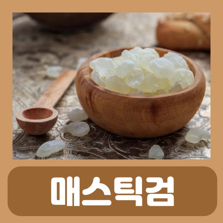  매스틱검 복용법 효능 부작용 매스틱효능