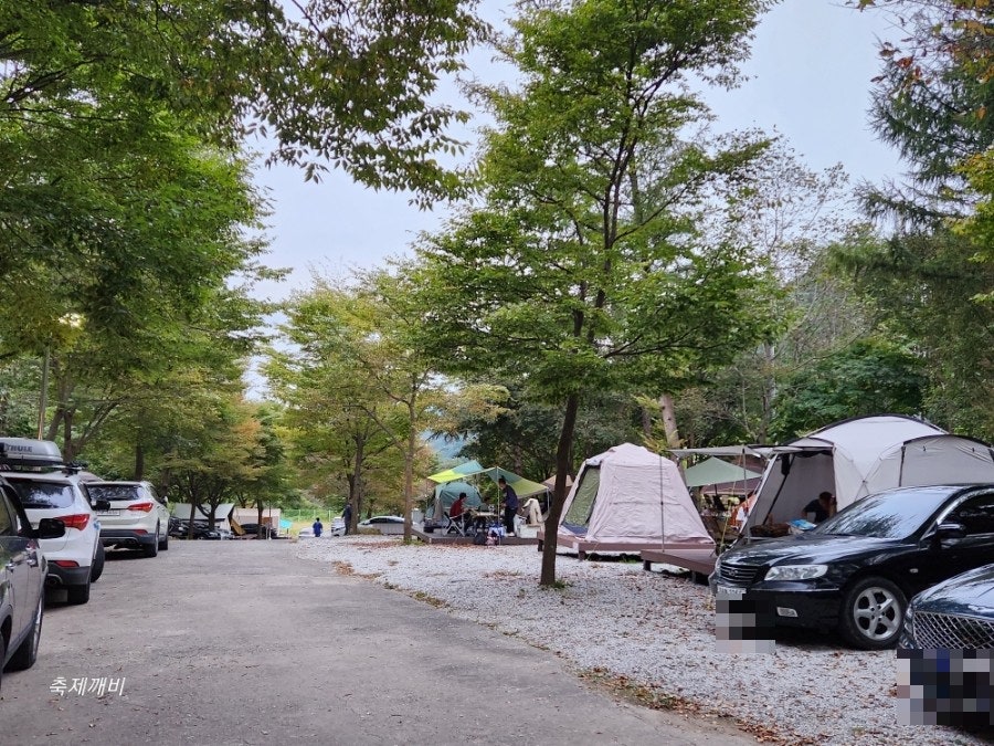 용추자연휴양림 야영장 사진 3