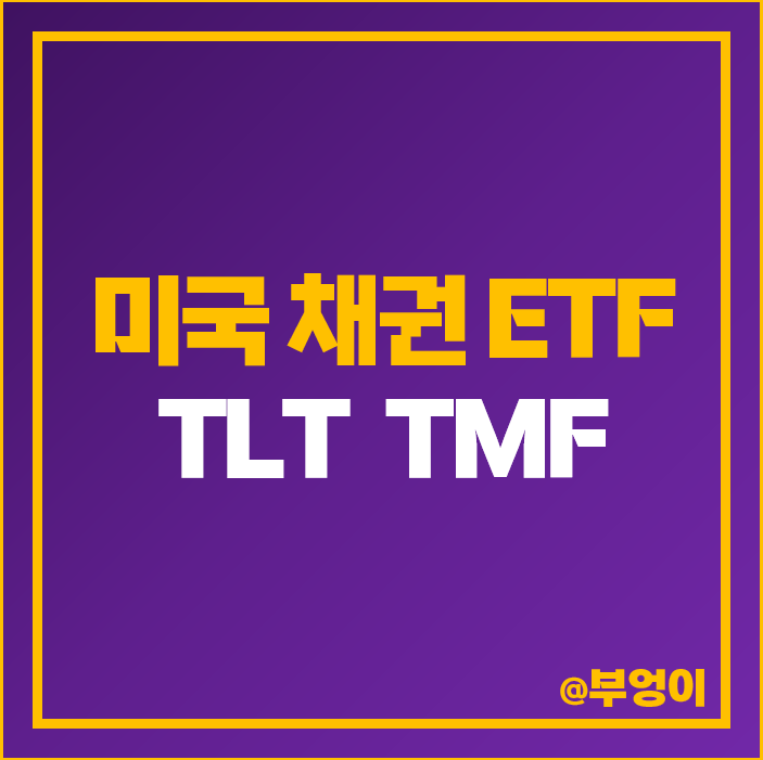 미국 채권 레버리지 ETF TMF 주가 장기 국채 투자 방법 TLT