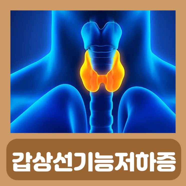  갑산선기능저하증 약 부작용 씬지록신 갑상샘 저하증 원인 검사 증상 갑상선기능저하