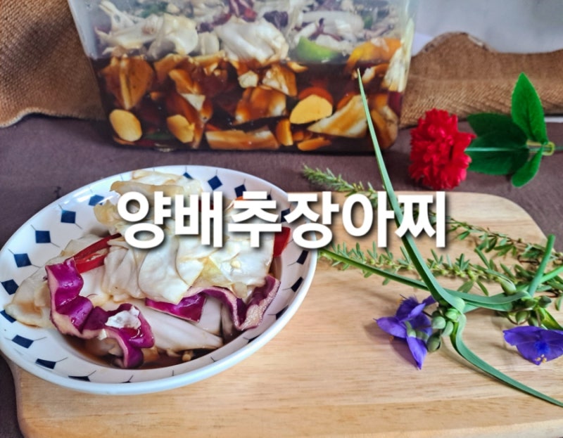 [당뇨식단] 양배추피클 양배추장아찌 양배추간장장아찌