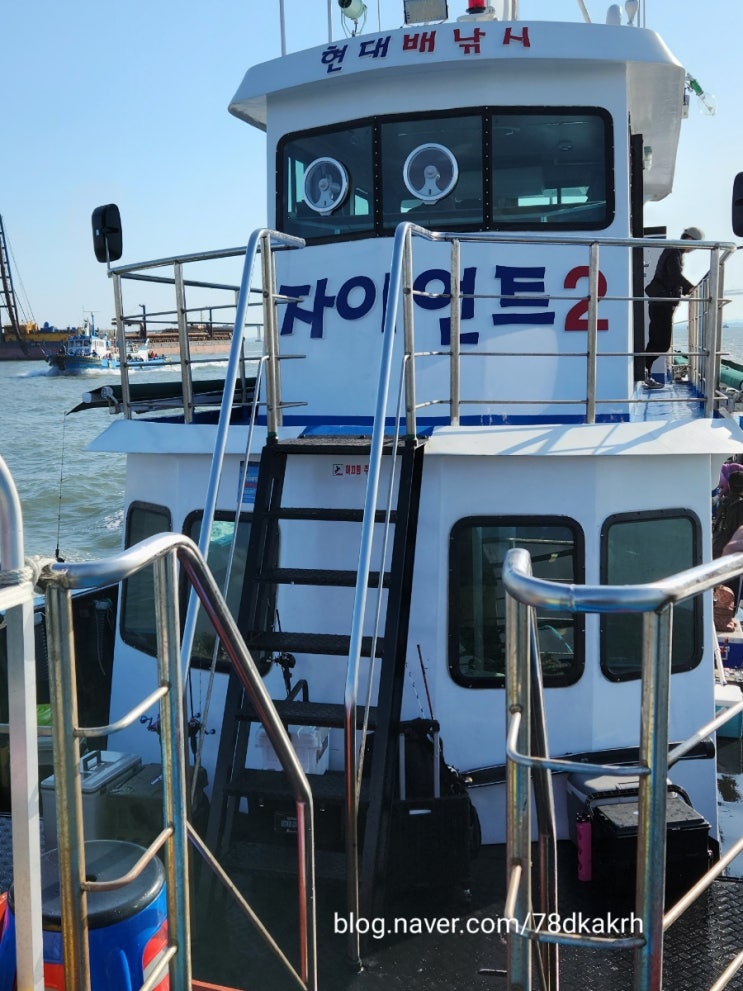  현대배낚시 자이언트 2 쭈꾸미 출조인데 우럭을 잡아??