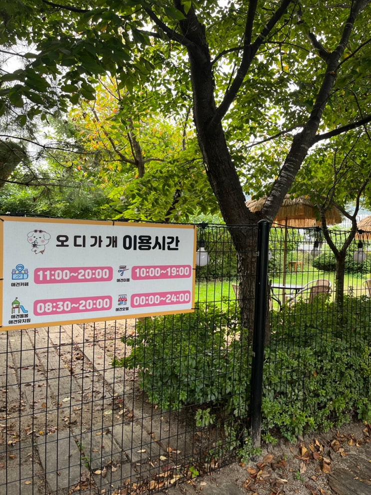  포천 | 애견 호텔 | 직원이 24시간 상주하는 [오디가개]