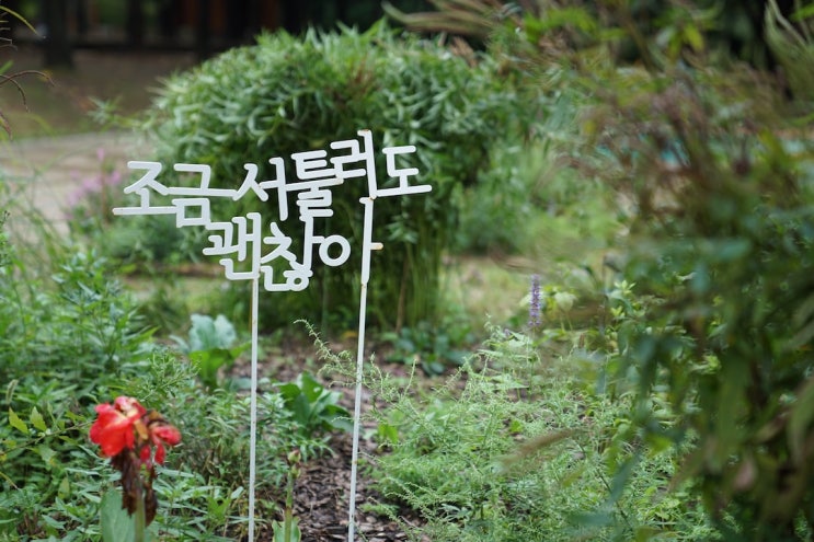 모국 모국