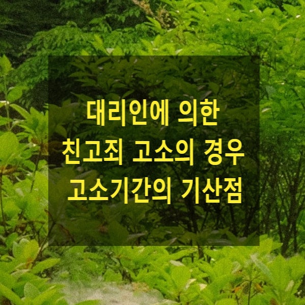  대리인에 의한 친고죄 고소의 경우 고소기간의 기산점