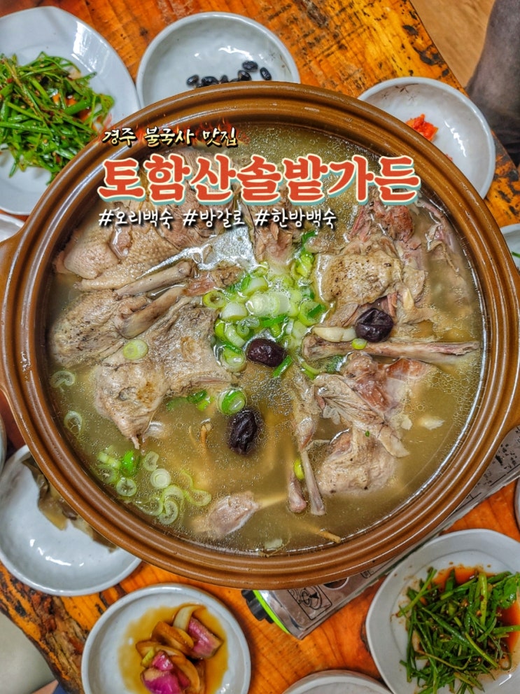  경주 불국사 맛집 토함산솔밭가든에서 오리백숙 먹고왔어요