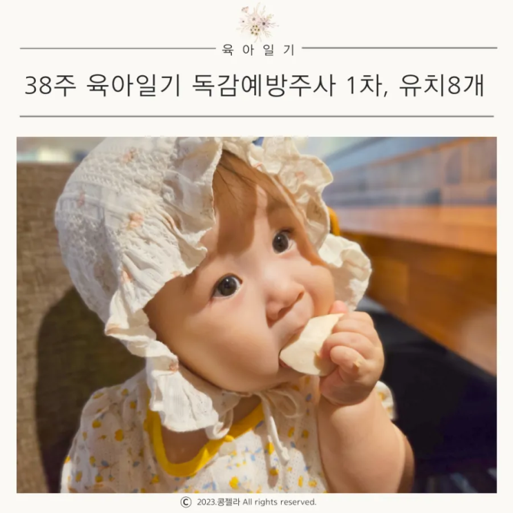 육아일기 38주 독감주사 8개월 아기 유치가 8개 뾱!