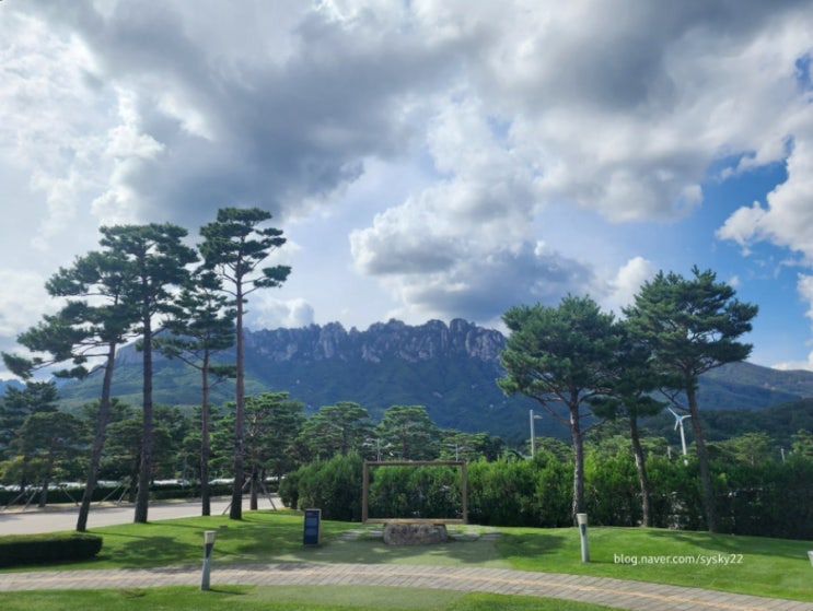  울산바위뷰가 최고인 소노문 델피노! 룸 컨디션 및 방 배정 꿀 정보!