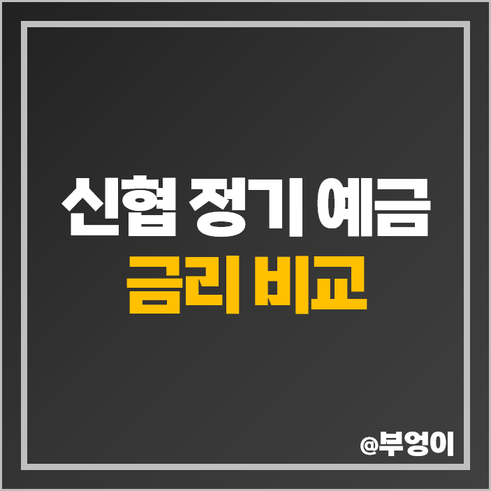 신협 정기예금 금리 비교 이자 높은 특판 추천 신협 정기예금 금리 비교 이자 높은 특판 추천
