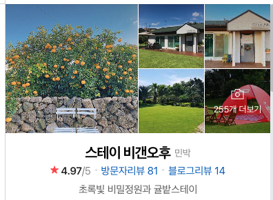 스테이 비갠오후 사진 5