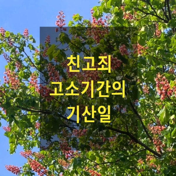  친고죄 고소기간의 기산일
