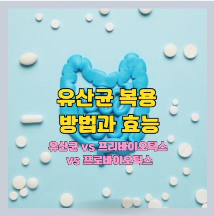  유산균 효능 및 복용법(식전 vs 식후)과 프로바이오틱스 vs 프리바이오틱스 분석 및 비교