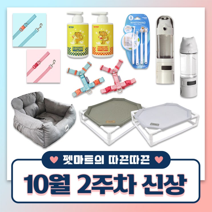  펫마트의 따끈따끈 주간 신상 [ 하네스, 샴푸, 칫솔, 물병, 카시트, 해먹 ]
