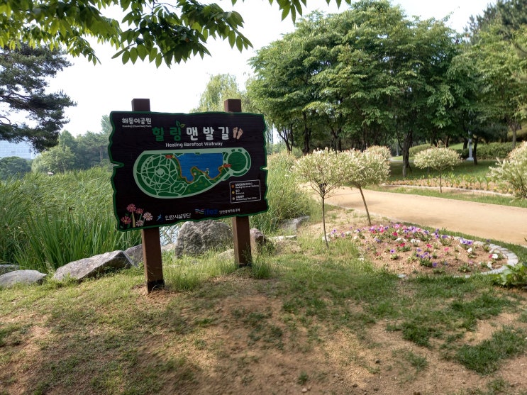 인천광역시 연수구 (송도) 해돋이공원 사진입니다.