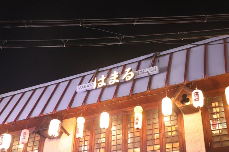 하마루 : 한양대 이자카야 추천 일본 분위기 오코노미야끼 맛집