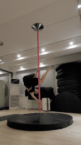 네이버 인플루언서 [네이버 인플루언서] 몽실이폴댄스의 폴댄스다이어트