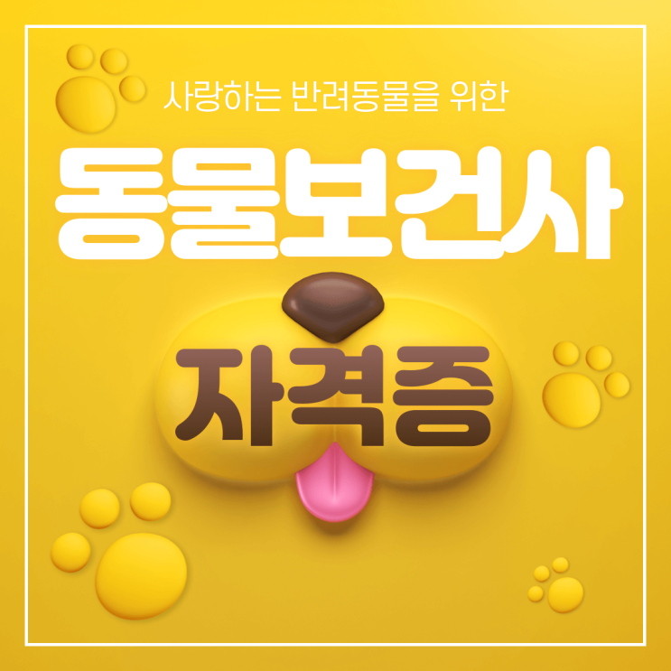  동물보건사 응시자격 및 자격증 시험 일정