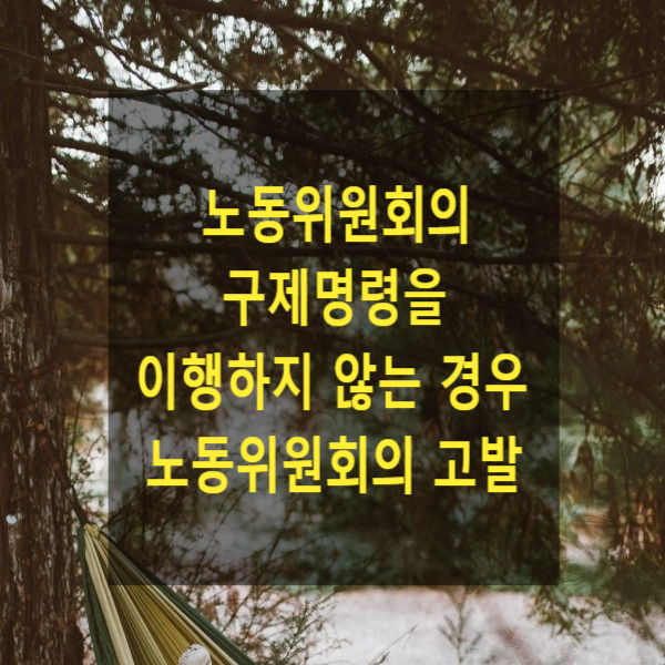  노동위원회의 구제명령을 이행하지 않는 경우 노동위원회의 고발