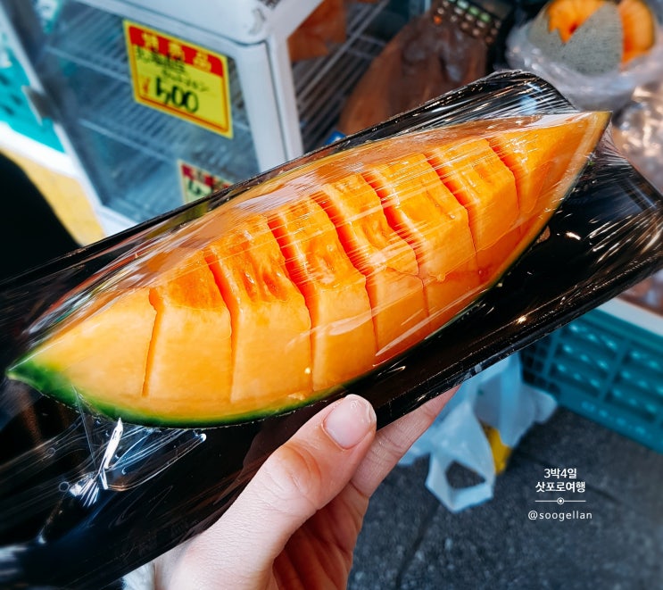  삿포로 디저트 맛집 | 키노토야 베이크 치즈타르트, 애플파이 | 맥도날드 삼각파이 | 니조시장 멜론