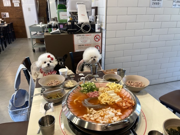 [실내] 문정역 애견 동반 식당  킹콩 부대찌개 위례중앙광장점 강아지랑 방문했어요.