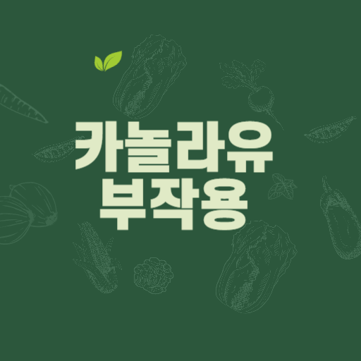  카놀라유 부작용 올리브유와 비교