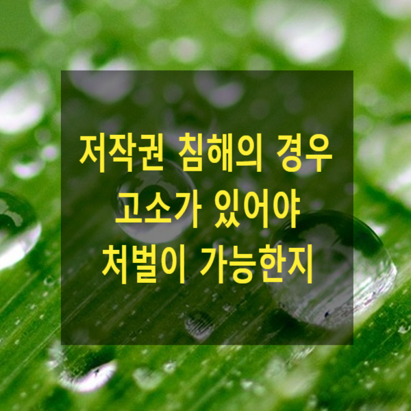  저작권 침해의 경우 고소가 있어야 처벌이 가능한지(영리, 상습)