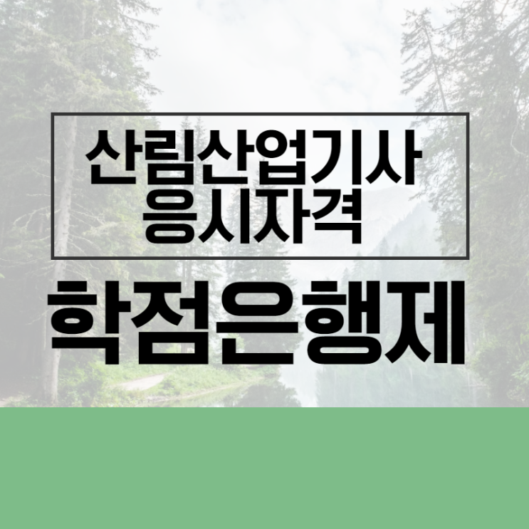  산림산업기사 학점은행제 응시자격을 만드는법 및 취업까지!