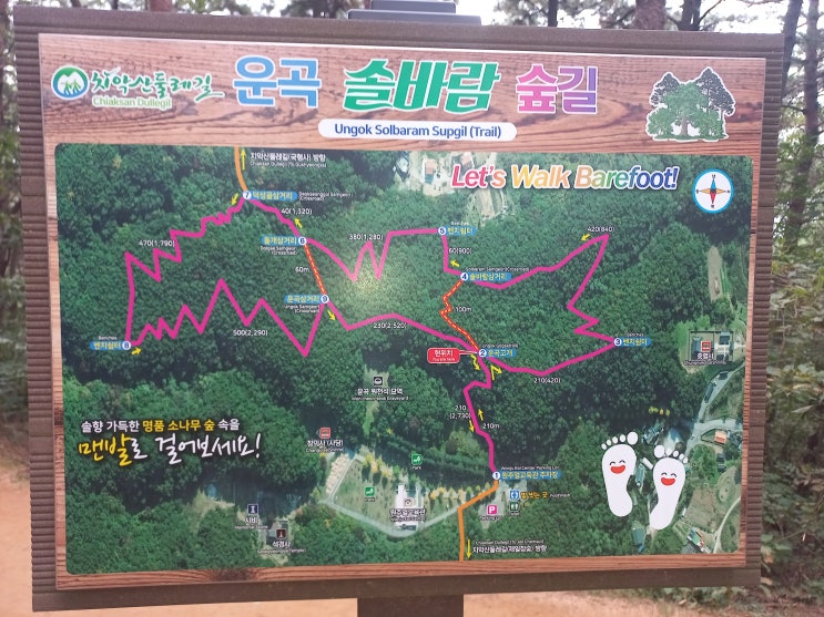  원주 맨발걷기..